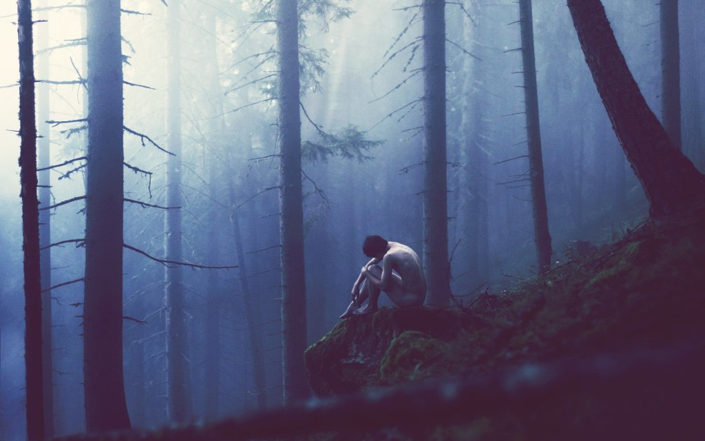 e-tree-forest-moss-fog-alone-hd-wallpaper