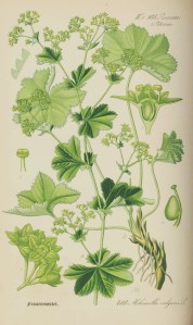 46a8ac11133e7e8d3799506b57a1f5c4