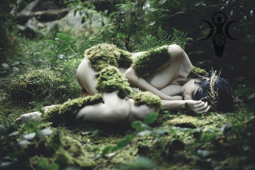 museum_of_moss___ii_by_julieofthewo