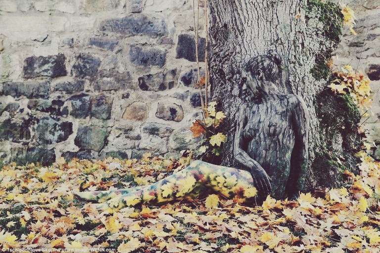 58860299e0fe36dc6cd5f686e5c45560