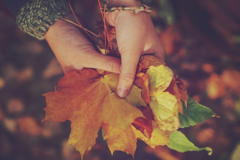 bouquet-autunno-foglie-1024x683