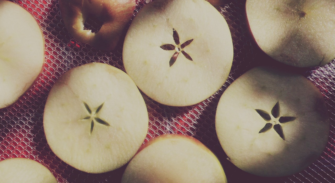 cedb85556995179a5053f7e4c1546612