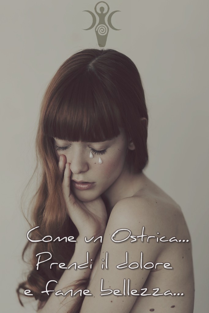 34238466926_9a7f669e5d_b