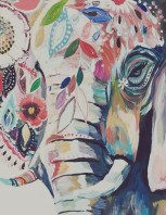 9616d53a565297c0a729869393aa49ab