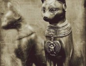 9cc89bfe2718f89a30fd9ba7463cd9f5-439x330