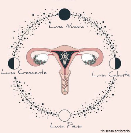 778032725d319963d714a89afb93358a