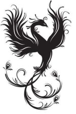 70862931-stock-vector-phoenix-bird-silhouette-symbol-of-immortality-fiery-bird-tribal-vector-illustration-isolated-on-whit