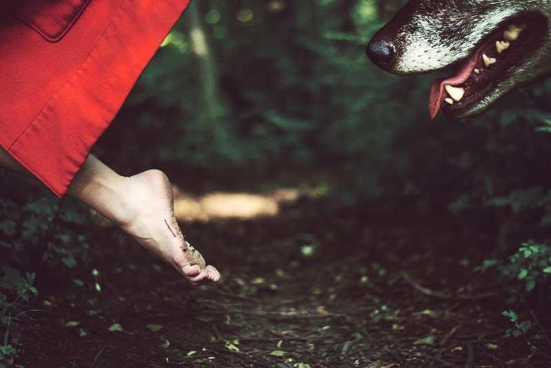 little_red_riding_hood_by_laurazalenga_d9dyyuk-fullview