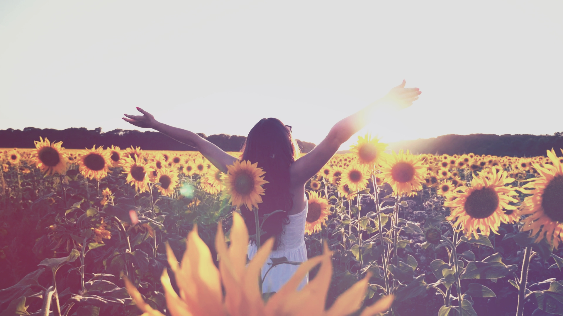 videoblocks-young-girl-standing-at-the-field-of-sunflowers-and-raising-her-hands-up-woman-enjoy-by-landscape-and-freedom-at-the-meadow-rear-back-view-slow-motion-close-up_scmco