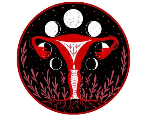 7_+Cycles+Rachael+Amber+2018