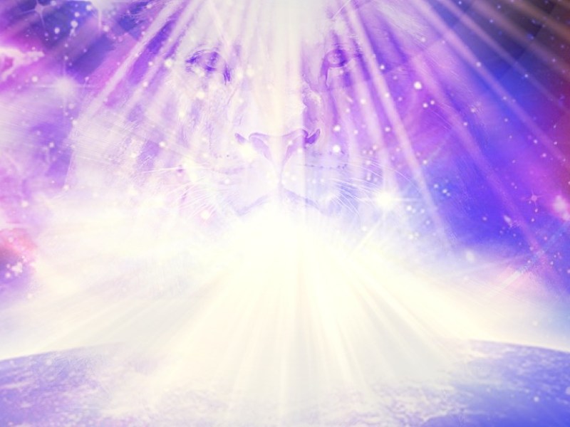 8/8 Portale de Leone – La spinta cosmica di ascensione&nbsp;spirituale